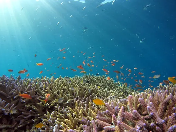 Palau scenery 1