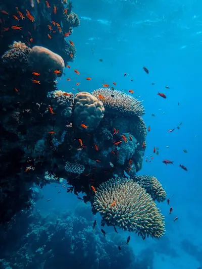 Palau scenery 4